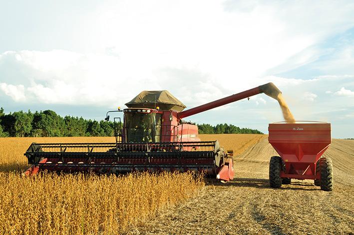 IFC E BANCO MUNDIAL PRETENDEM REALIZAR NOVAS FORMAS DE FINACIMANTO NO SECTOR AGRÍCOLA
