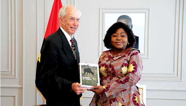 VICE-PRESIDENTE DA REPÚBLICA RECEBE CIENTISTA SUL-AFRICANO