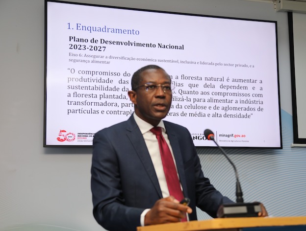 ANGOLA DETÉM UM DOS MAIORES POTENCIAIS FLORESTAIS DA REGIÃO